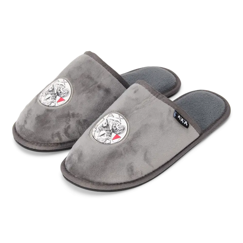 AFC Ajax Store – Ajax-slipper grey Collection for True Fans
